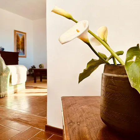 Casa Marcella A Castagneto Apartment *